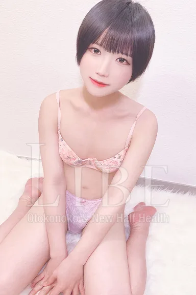 木洩みる